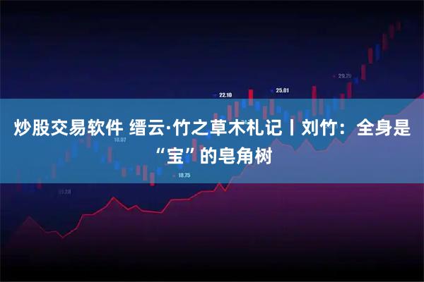 炒股交易软件 缙云·竹之草木札记丨刘竹:全身是“宝”的皂角树