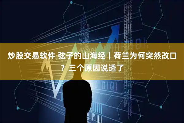 炒股交易软件 弦子的山海经｜荷兰为何突然改口？三个原因说透了