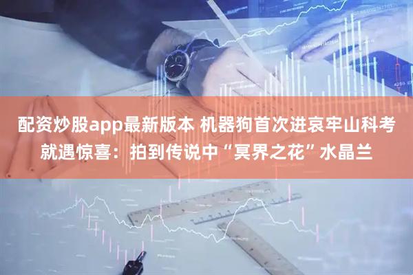 配资炒股app最新版本 机器狗首次进哀牢山科考就遇惊喜：拍到传说中“冥界之花”水晶兰